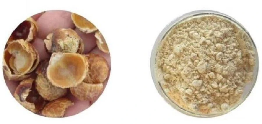soapnut extract -