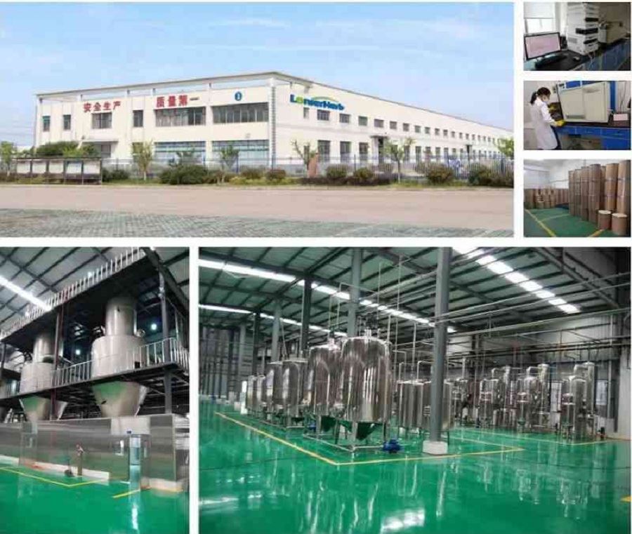 Polypodium leucotomos extract Factory