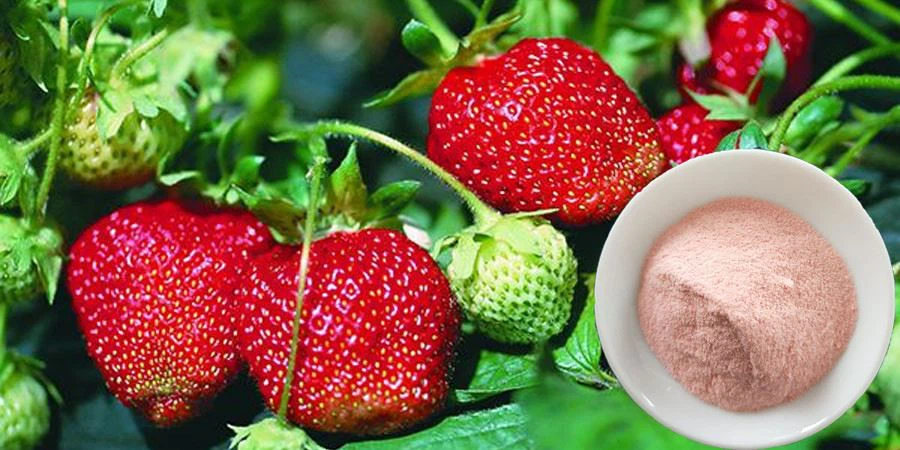 Strawberry Juice Powder