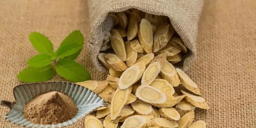 Astragalus Root Extract Powder Astragalus Root Extract Powder