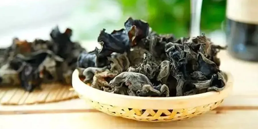 Black Fungus Extract manufacturers