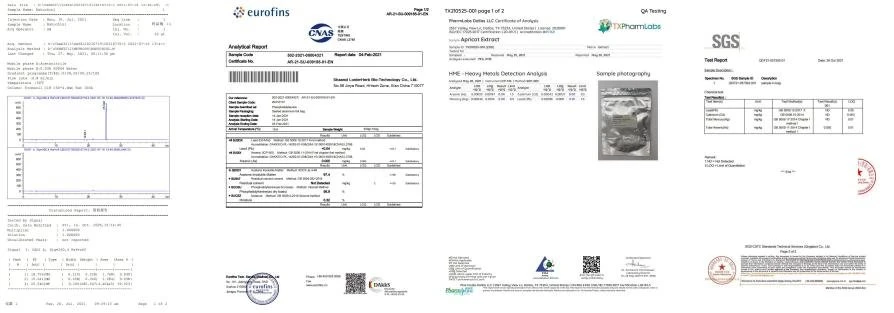 Test Report 2
