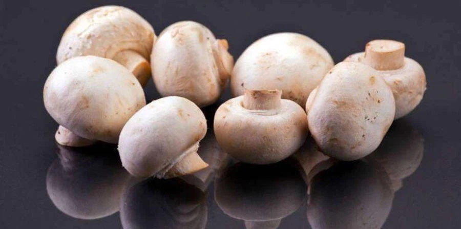 Straw Mushroom Extract Free Sample Straw Mushroom Extract Free Sample