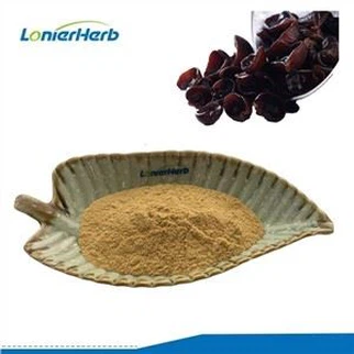 สารสกัดจากเชื้อราดำ