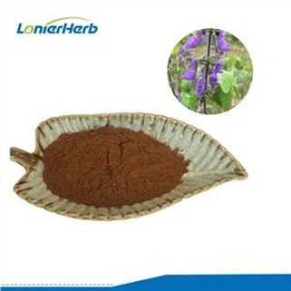ผงสารสกัดจาก forskolin