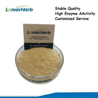 ผงเอนไซม์เซลลูเลส