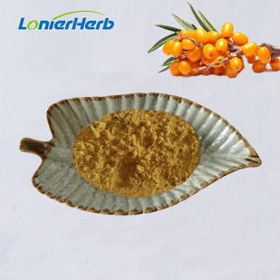 Sea Buckthorn Fruit Powder Sea Buckthorn Fruit Powder